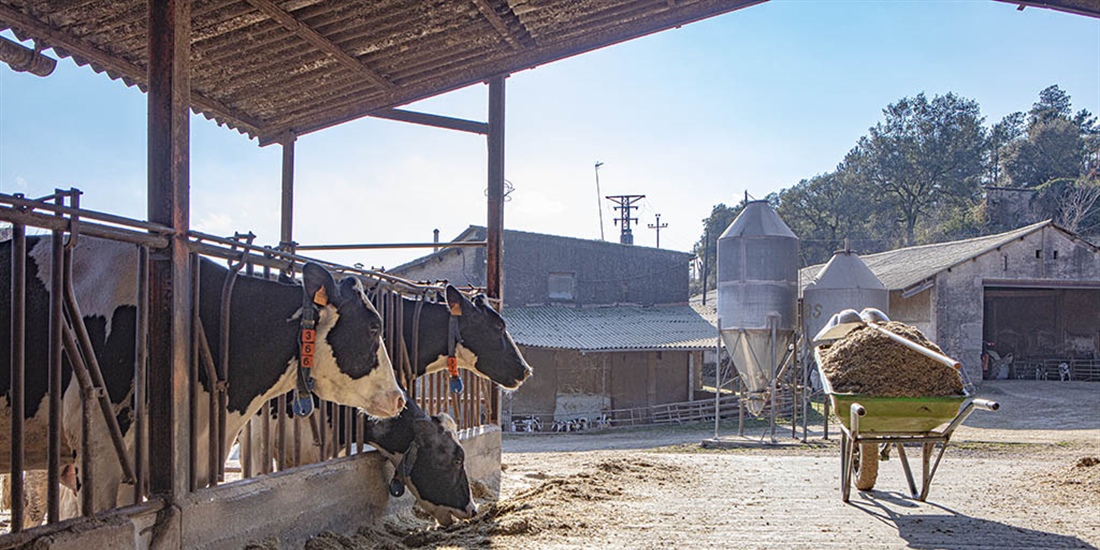 Granja Vall de Maria, un equilibrio perfecto entre tradicin y...