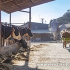 Granja Vall de Maria, un equilibrio perfecto entre tradicin y modernidad desde la comarca de La Selva