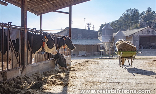 Granja Vall de Maria, un equilibrio perfecto entre tradicin y...