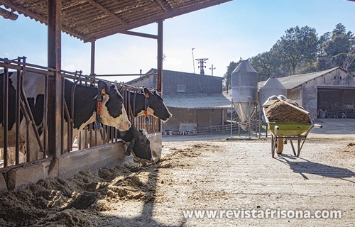 Granja Vall de Maria, un equilibrio perfecto entre tradicin y...