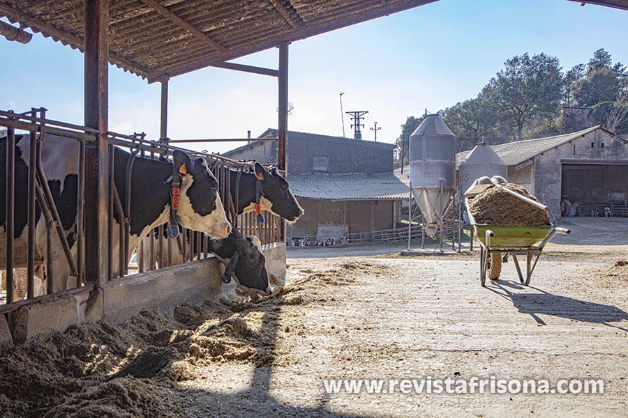 Granja Vall de Maria, un equilibrio perfecto entre tradicin y...