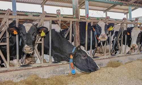 Las industrias de la alimentacin animal y de la ganadera alertan del...