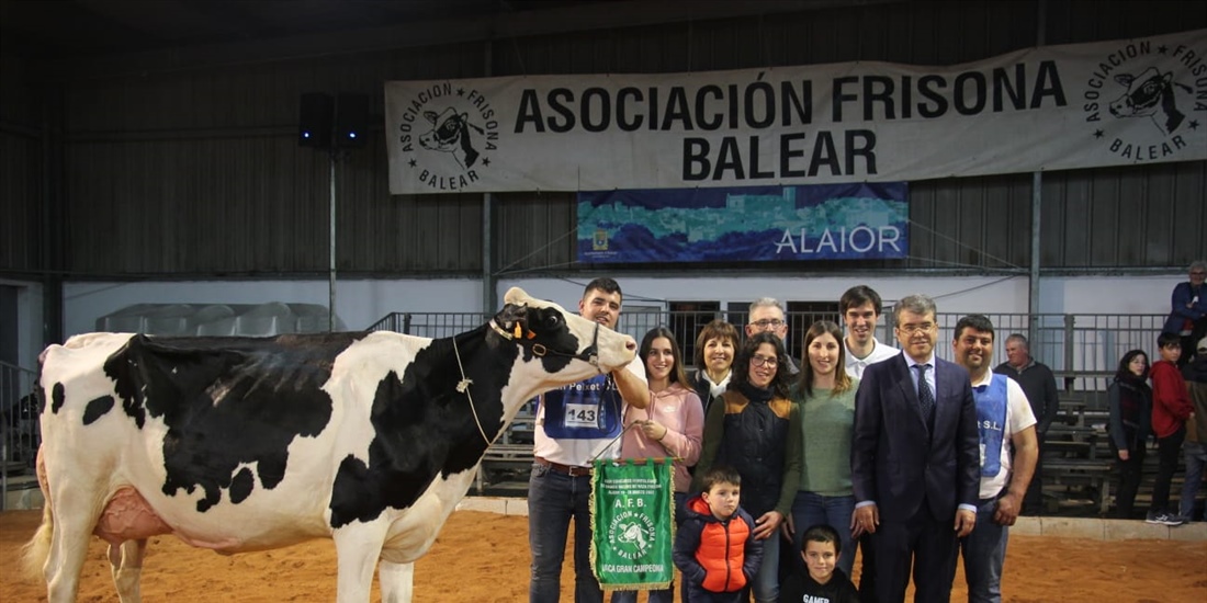 Bell Lloch McCutchen 1346, Vaca Gran Campeona de Menorca 2022