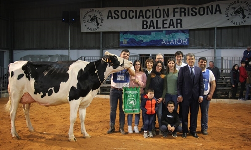 Bell Lloch McCutchen 1346, Vaca Gran Campeona de Menorca 2022