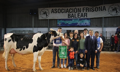 Bell Lloch McCutchen 1346, Vaca Gran Campeona de Menorca 2022