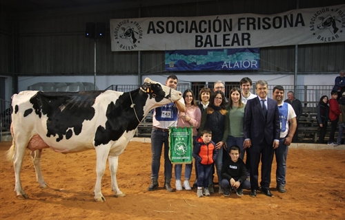 Bell Lloch McCutchen 1346, Vaca Gran Campeona de Menorca 2022