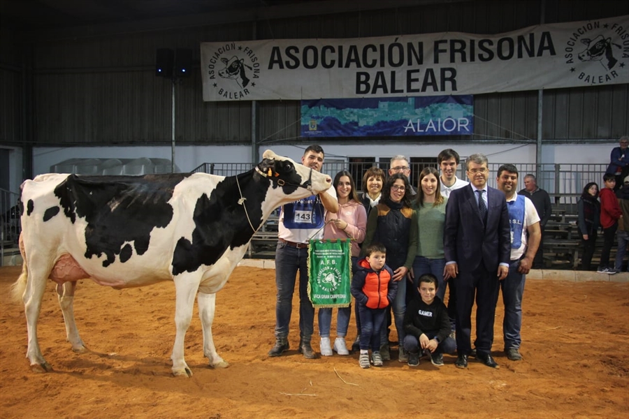 Bell Lloch McCutchen 1346, Vaca Gran Campeona de Menorca 2022