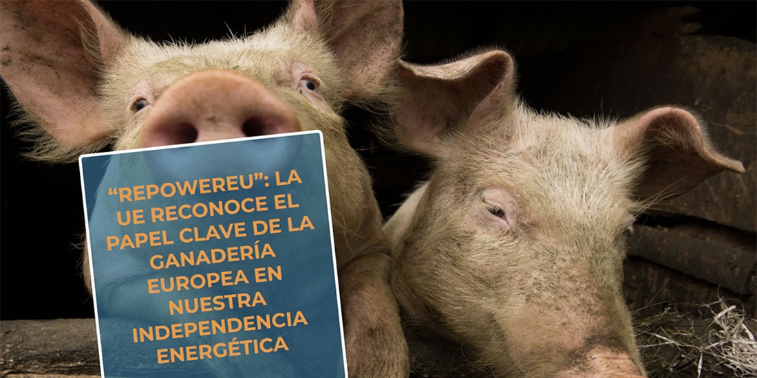 #RealidadGanadera Repowereu: La UE reconoce el papel clave de la...