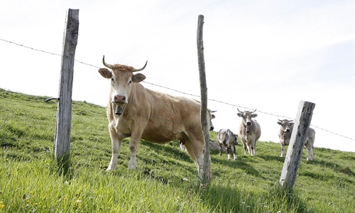 Cantabria convoca ayudas para las agrupaciones de defensa sanitaria...