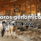 Nuevos toros genmicos con Prueba Oficial: Evaluacin genmica de marzo 2022