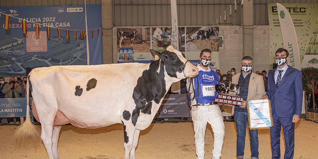 Rey 814 Beemer Yuri, Vaca Gran Campeona de Galicia 2022