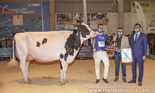 Rey 814 Beemer Yuri, Vaca Gran Campeona de Galicia 2022