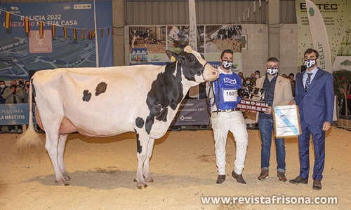 Rey 814 Beemer Yuri, Vaca Gran Campeona de Galicia 2022