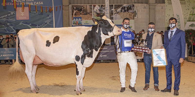 Rey 814 Beemer Yuri, Vaca Gran Campeona de Galicia 2022