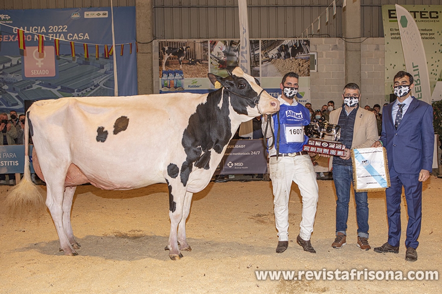 Rey 814 Beemer Yuri, Vaca Gran Campeona de Galicia 2022