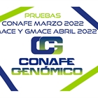 Nuevas pruebas genmicas de Machos y Hembras: CONAFE Marzo 2022 + MACE y GMACE Abril 2022