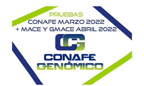 Nuevas pruebas genmicas de Machos y Hembras: CONAFE Marzo 2022 + MACE...