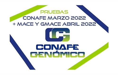 Nuevas pruebas genmicas de Machos y Hembras: CONAFE Marzo 2022 + MACE...