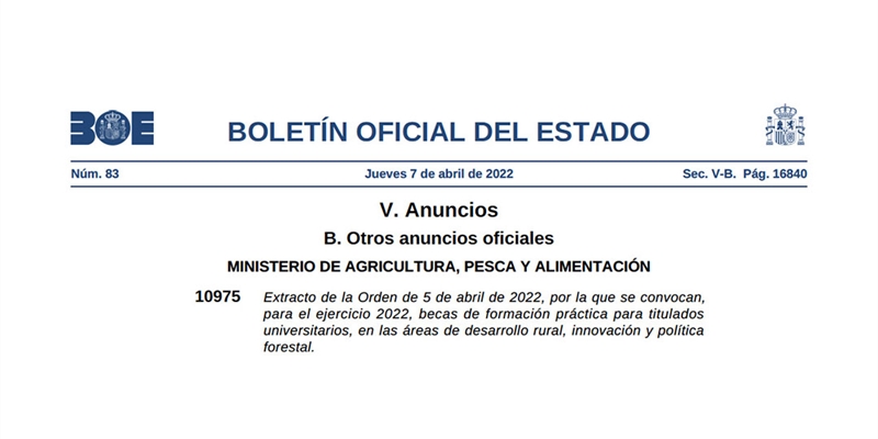 El Ministerio de Agricultura convoca becas para formar en desarrollo rural y poltica forestal