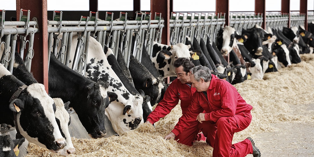 Nanta presenta el programa Nanta Dairy Robot para optimizar el...