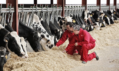 Nanta presenta el programa Nanta Dairy Robot para optimizar el...