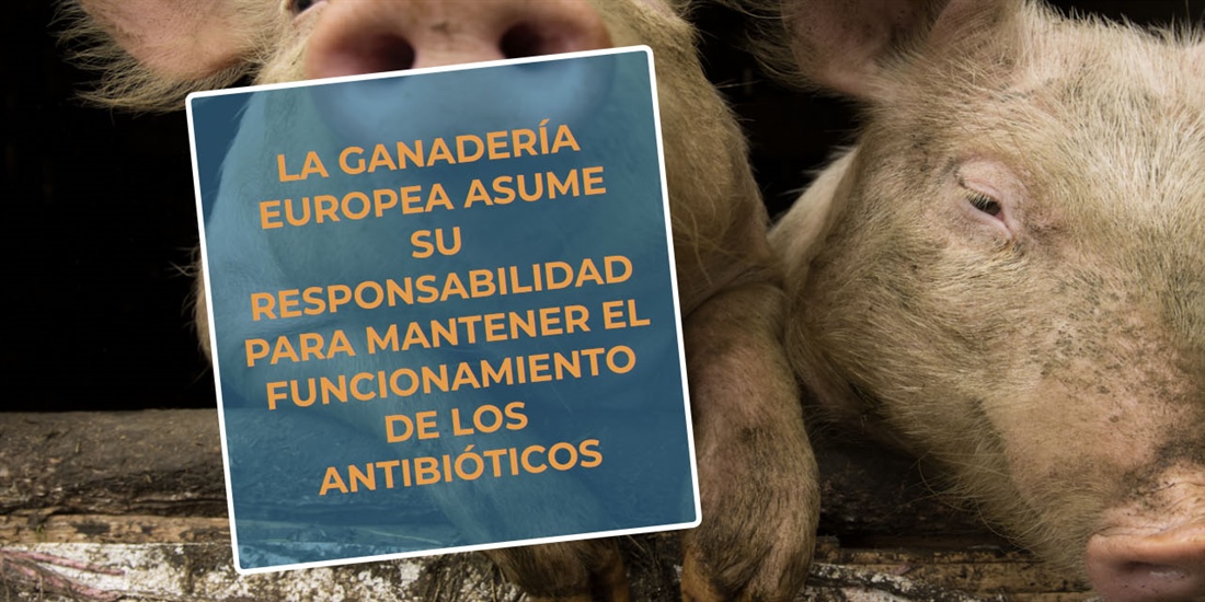 #RealidadGanadera: La ganadera europea asume su responsabilidad para...