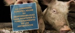 #RealidadGanadera: La ganadera europea asume su responsabilidad para mantener el funcionamiento de los antibiticos