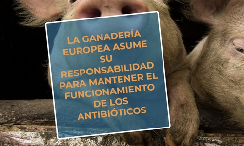 #RealidadGanadera: La ganadera europea asume su responsabilidad para...