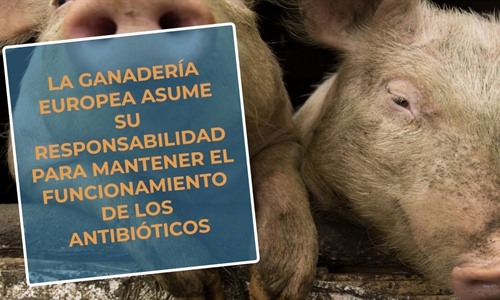 #RealidadGanadera: La ganadera europea asume su responsabilidad para...