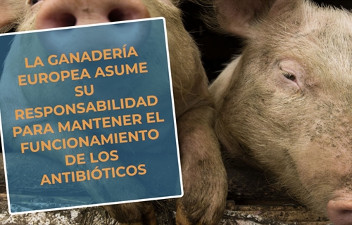 #RealidadGanadera: La ganadera europea asume su responsabilidad para...