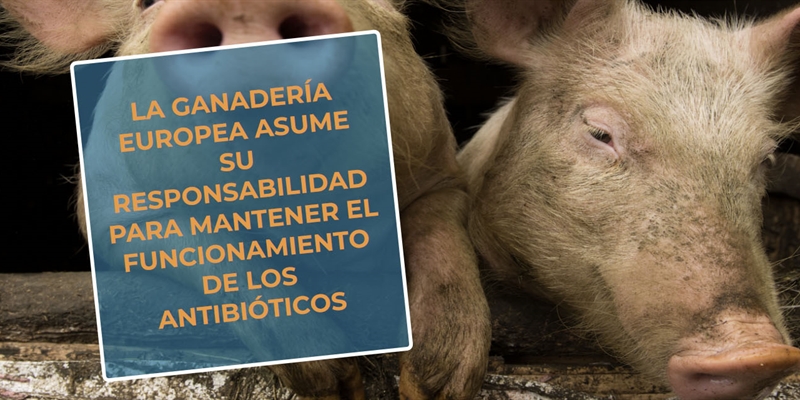#RealidadGanadera: La ganadería europea asume su responsabilidad para mantener el funcionamiento de los antibióticos
