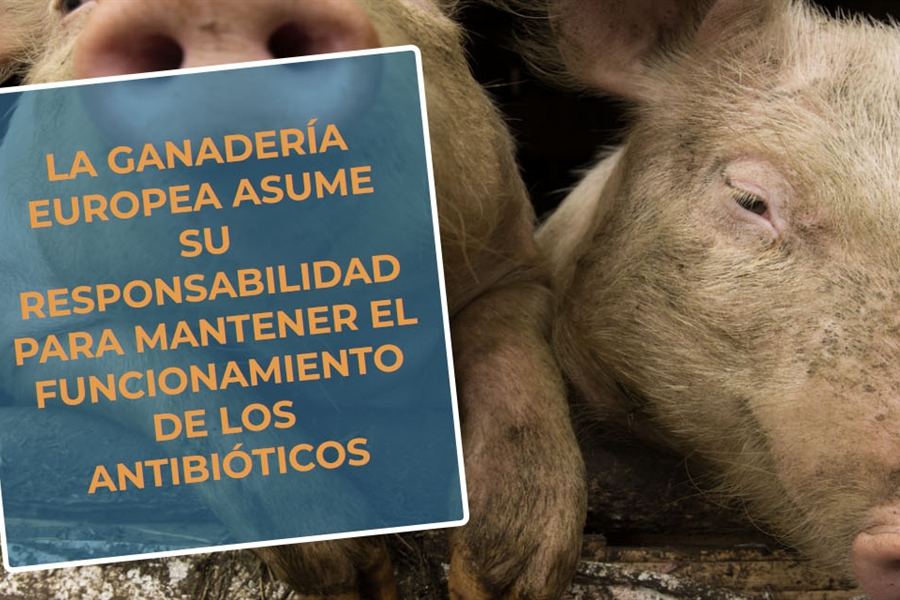 #RealidadGanadera: La ganadera europea asume su responsabilidad para...