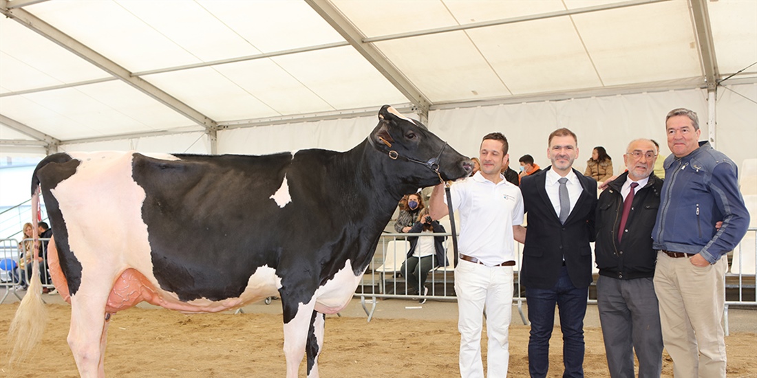 Campgran Kerinci Deman, Vaca Gran Campeona de Catalua 2022