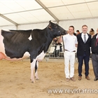 Campgran Kerinci Deman, Vaca Gran Campeona de Catalua 2022