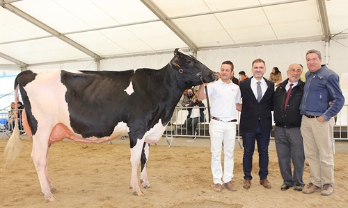 Campgran Kerinci Deman, Vaca Gran Campeona de Catalua 2022