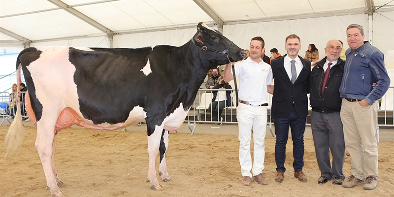 Campgran Kerinci Deman, Vaca Gran Campeona de Catalua 2022