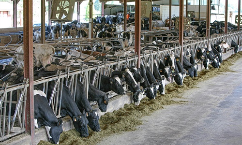 Electricidad (+149%) y abonos (+138%) dispararon los costes agrcolas...