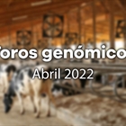 Nuevos toros genmicos con Prueba Oficial: Evaluacin genmica de abril 2022