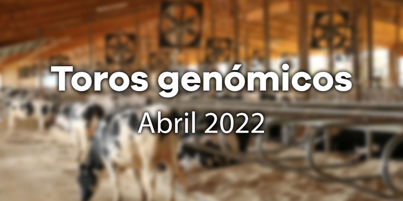 Nuevos toros genómicos con Prueba Oficial: Evaluación genómica de abril 2022