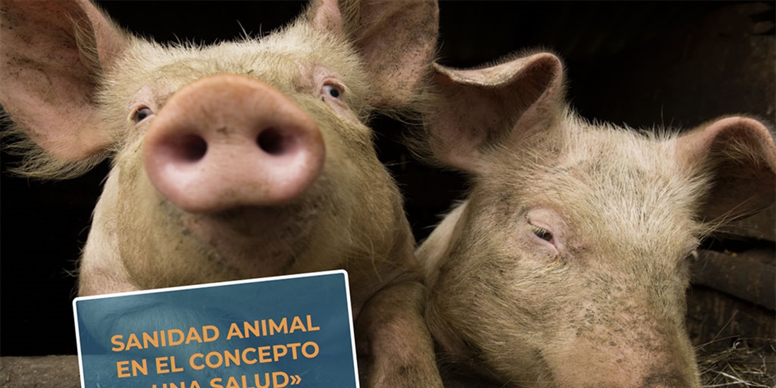 #RealidadGanadera Veterindustria: Sanidad animal en el concepto Una Salud