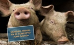 #RealidadGanadera: Sanidad animal en el concepto «Una Salud»