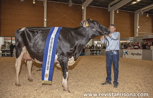 Omarie (Los Jernimos), Vaca Gran Campeona del III Open de Ganado...