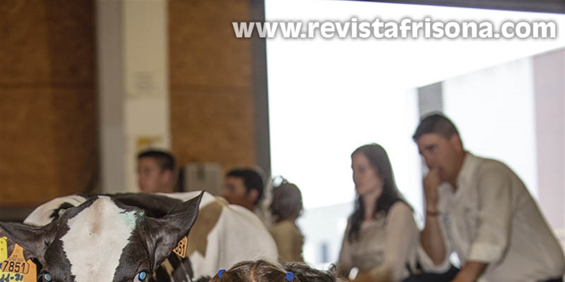 Otra mirada al III Open de Ganado Frisn Talavera de la Reina 2022