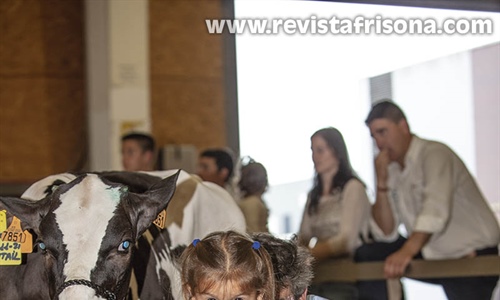 Otra mirada al III Open de Ganado Frisn Talavera de la Reina 2022