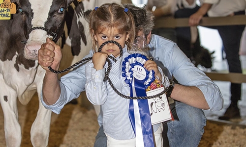 Otra mirada al III Open de Ganado Frisn Talavera de la Reina 2022