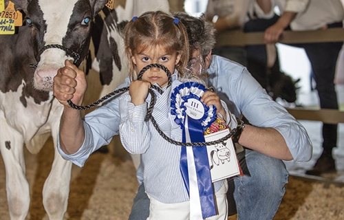 Otra mirada al III Open de Ganado Frisn Talavera de la Reina 2022