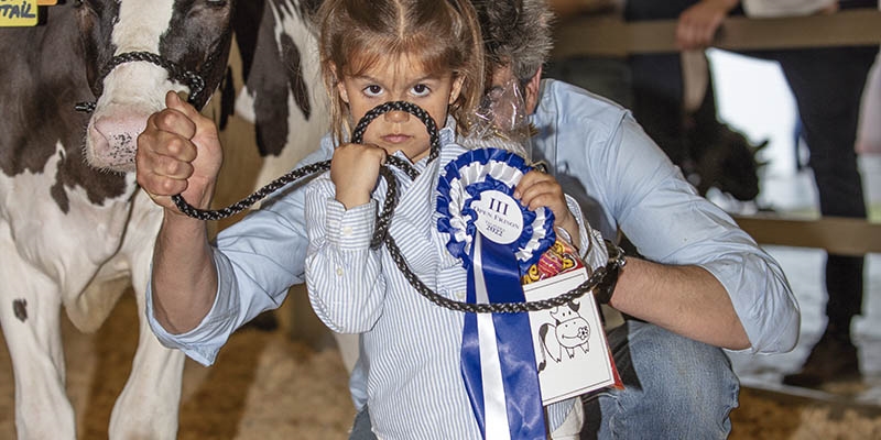 Otra mirada al III Open de Ganado Frisn Talavera de la Reina 2022