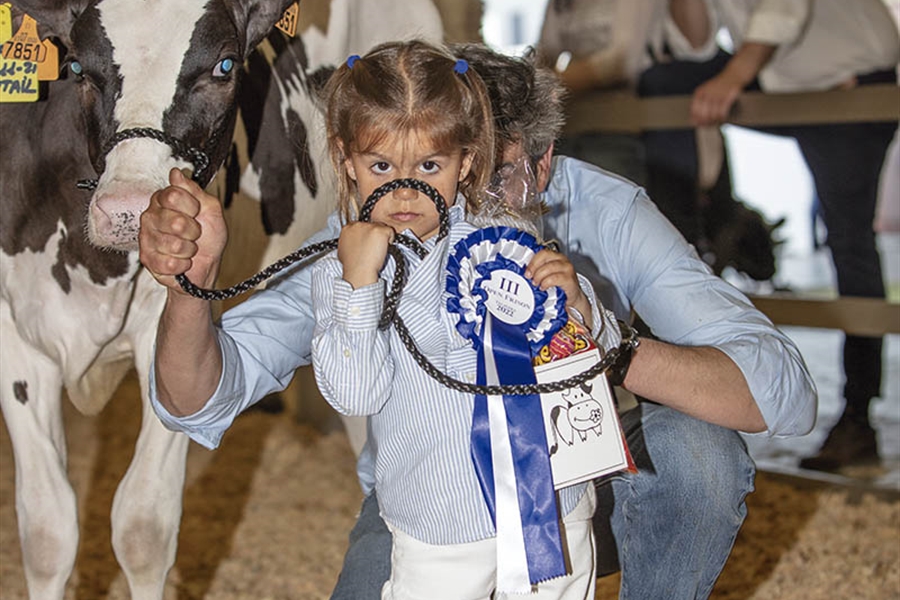 Otra mirada al III Open de Ganado Frisn Talavera de la Reina 2022