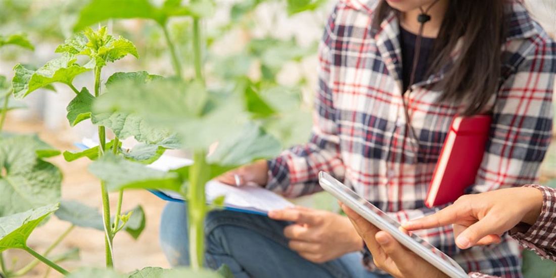 Abierta la convocatoria para solicitar las ayudas a explotaciones...