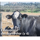 El bienestar en las granjas de vacuno de leche (VI): Evaluación del bienestar (y 4)